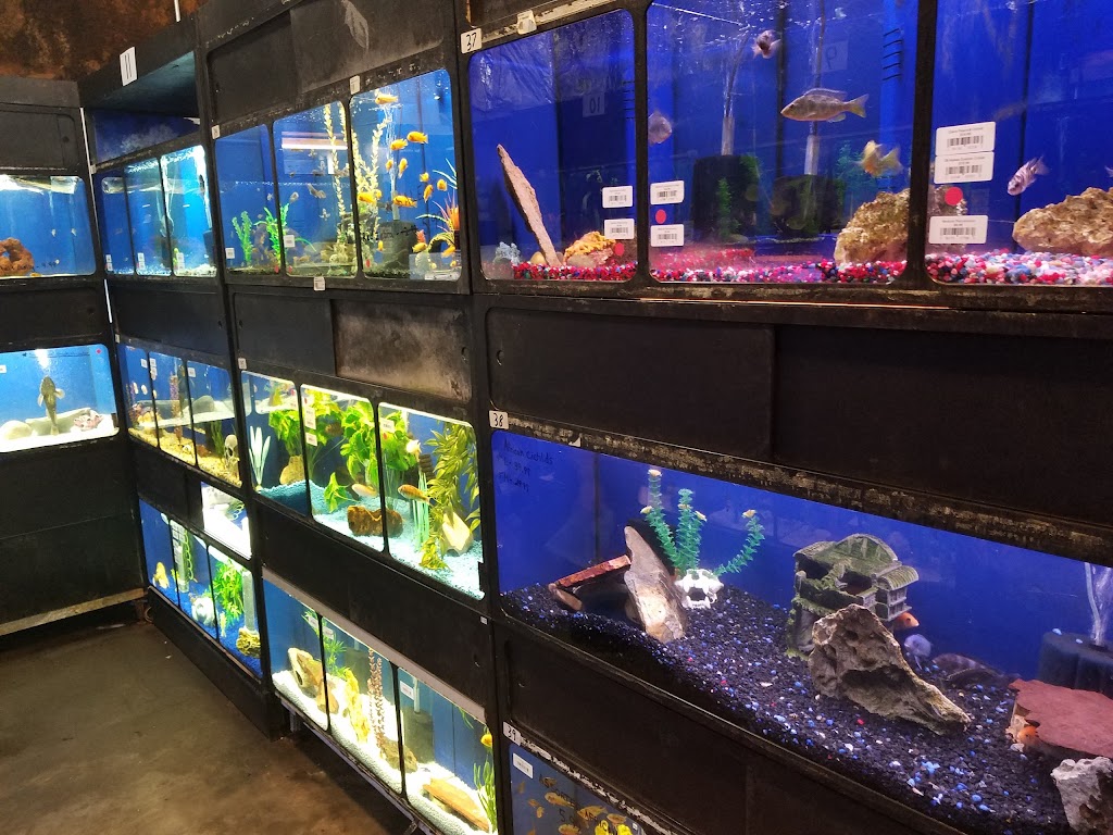 Aquatics Galore LLC | 515 W Funderburg Rd, Fairborn, OH 45324, USA | Phone: (937) 422-0478