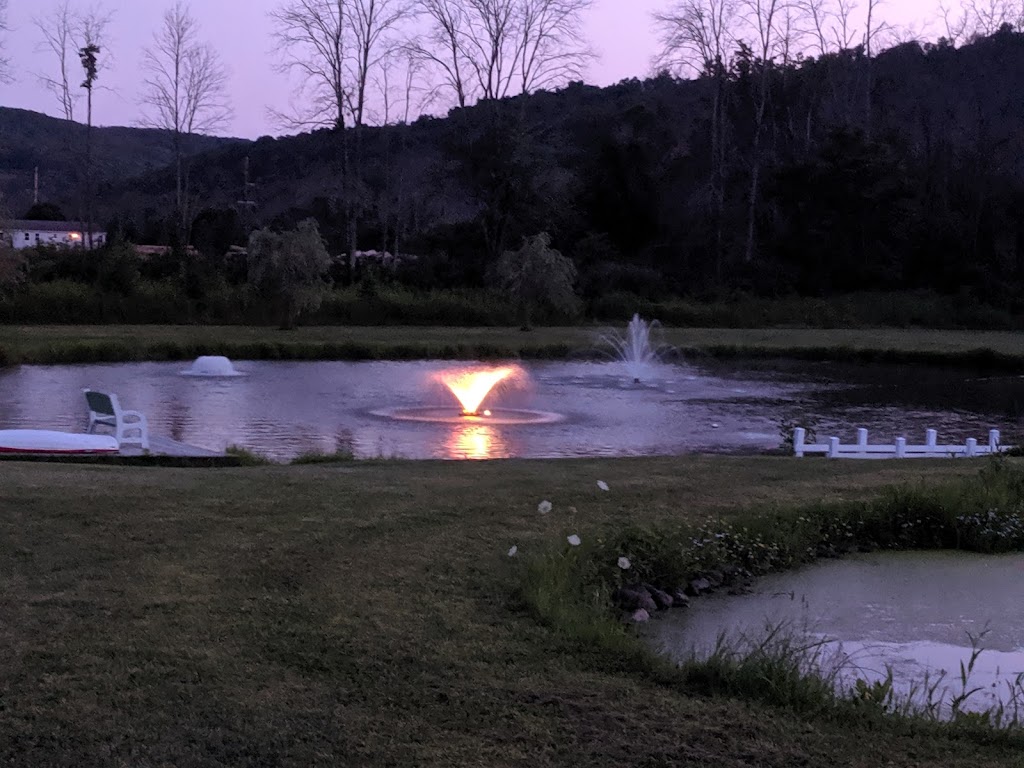 Fish Haven Farm | 978 Owego Rd, Candor, NY 13743, USA | Phone: (607) 659-3474