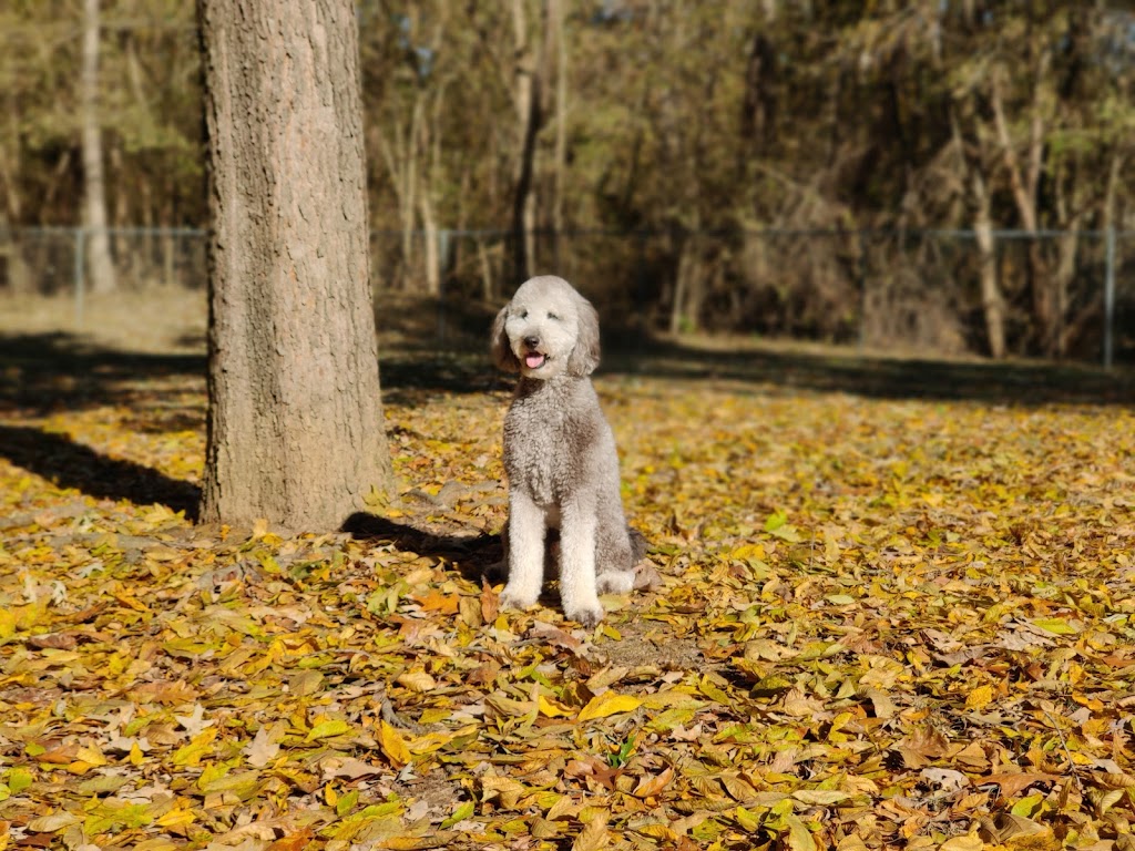 Bartlett Dog Park | 5220 Shelter Run Ln, Memphis, TN 38135 | Phone: (901) 385-6484