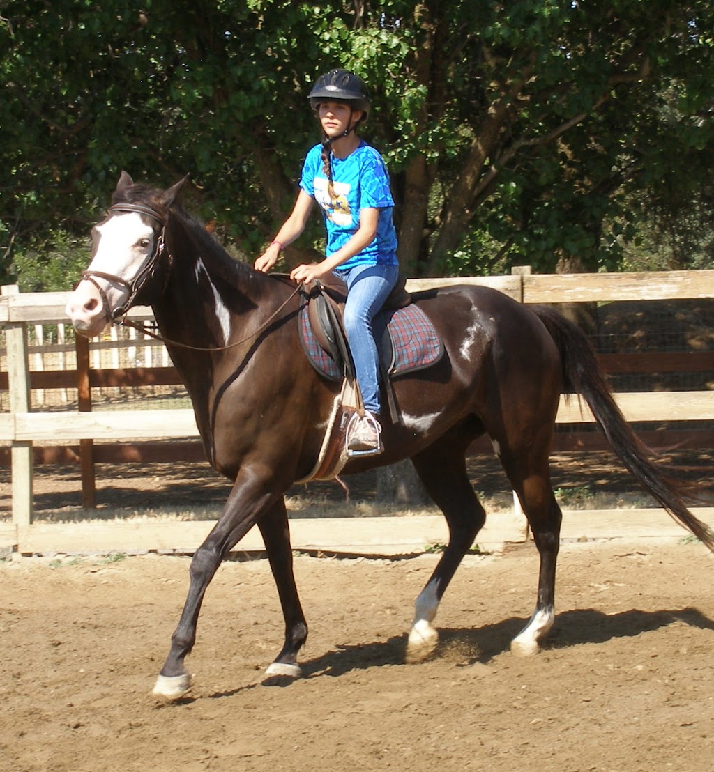 Hillside Riding Stables, Lessons & Horse Camps | 9065 Oak Ave, Orangevale, CA 95662, USA | Phone: (916) 987-1667