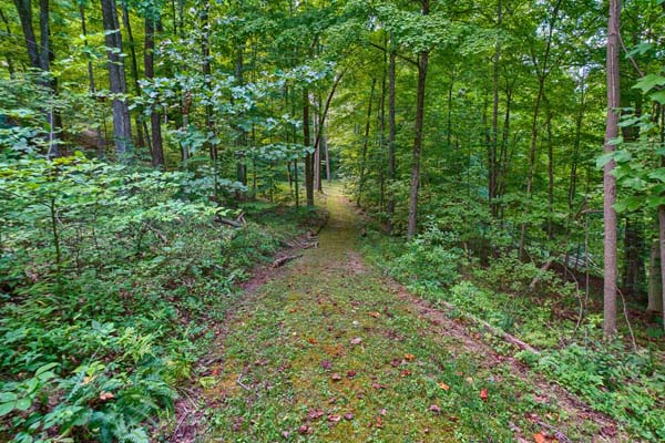 Hike Away Hills cabin | 16211 Collison Rd, Logan, OH 43138, USA | Phone: (614) 322-2283