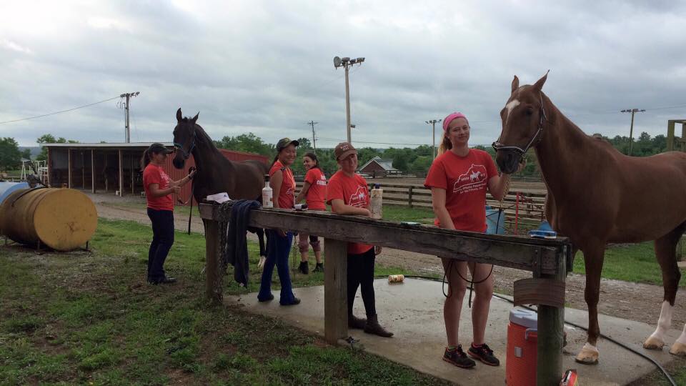 Louisville Equestrian Center | 6720 Mt Washington Rd, Taylorsville, KY 40071, USA | Phone: (502) 477-0830