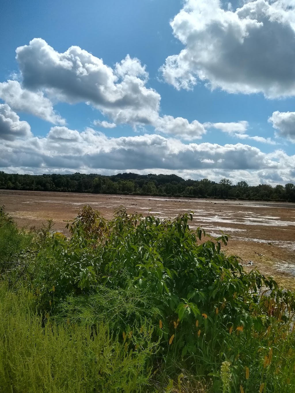 Cadiz Springs State Recreation Area | N2241 Cadiz Springs Rd, Browntown, WI 53522, USA | Phone: (608) 966-3777