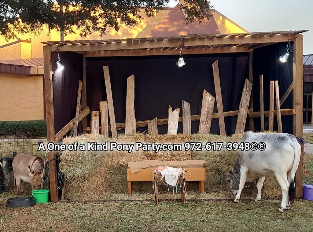 A One of a Kind Petting Zoo | 416 Pritchett Rd, Red Oak, TX 75154, USA | Phone: (972) 617-3948