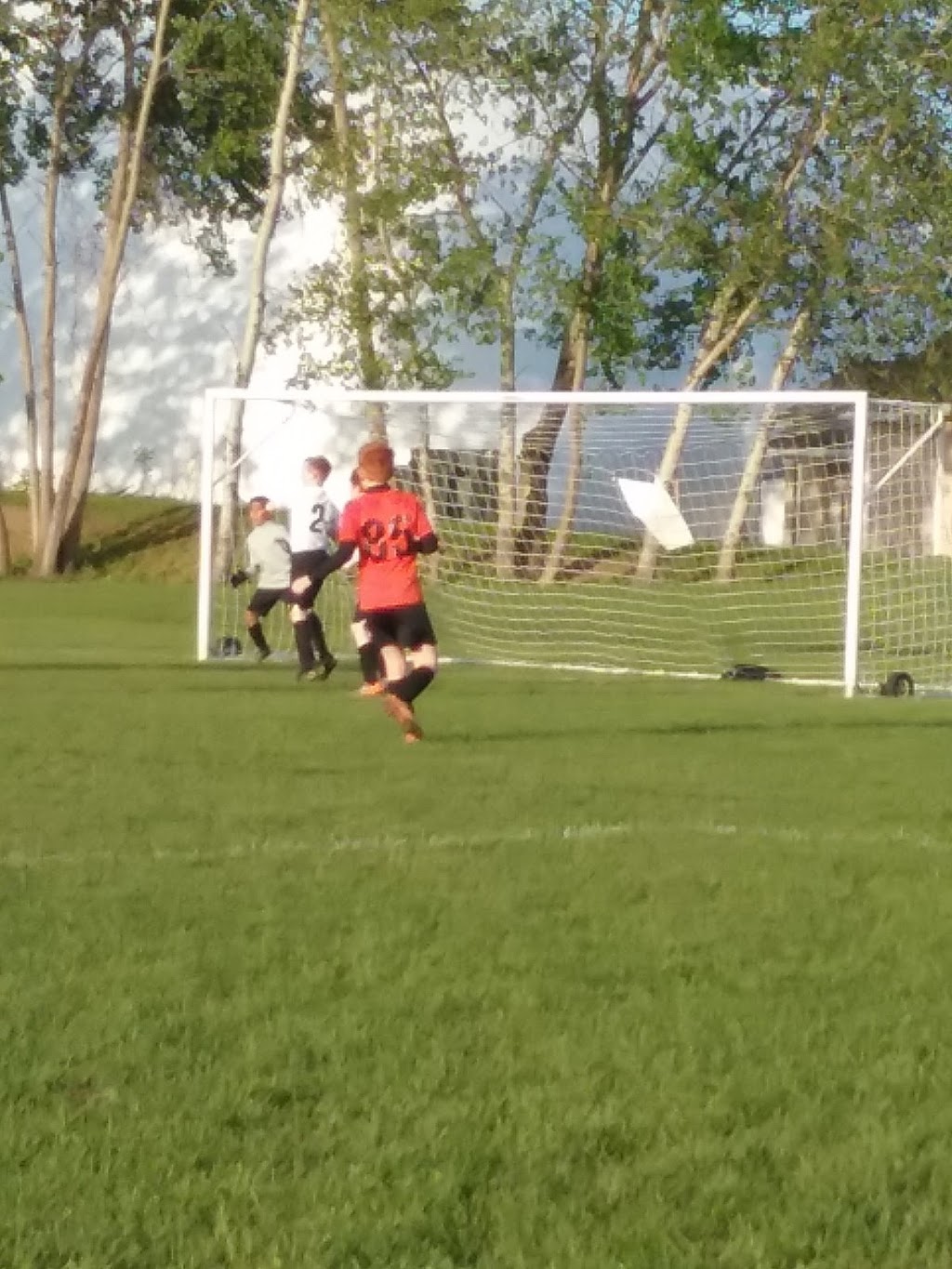 Afrims Sports Bethlehem | 450 Wemple Rd, Glenmont, NY 12077, USA | Phone: (518) 438-3131