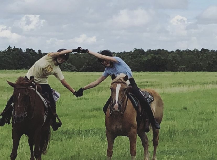 Flatwoods Equestrian Center | 9348 Sycamore Rd, Clermont, FL 34714 | Phone: (352) 536-5348