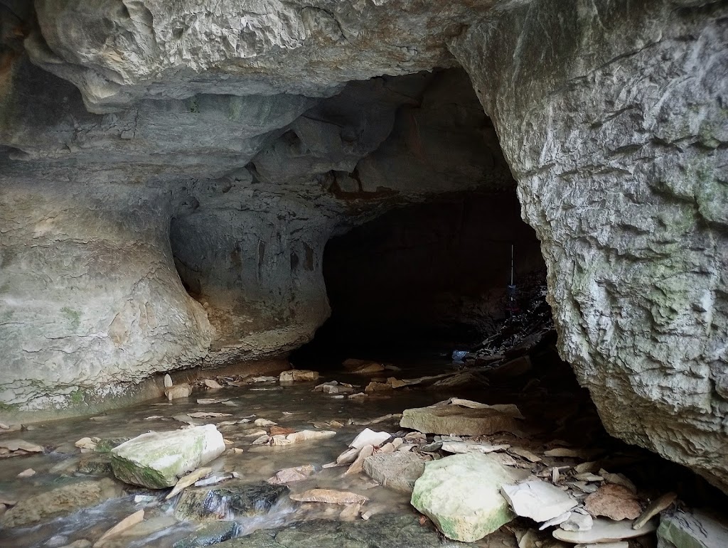 Cave River Valley Natural Area | 6031-6871 N Cave River Valley Rd, Campbellsburg, IN 47108, USA | Phone: (812) 849-3534