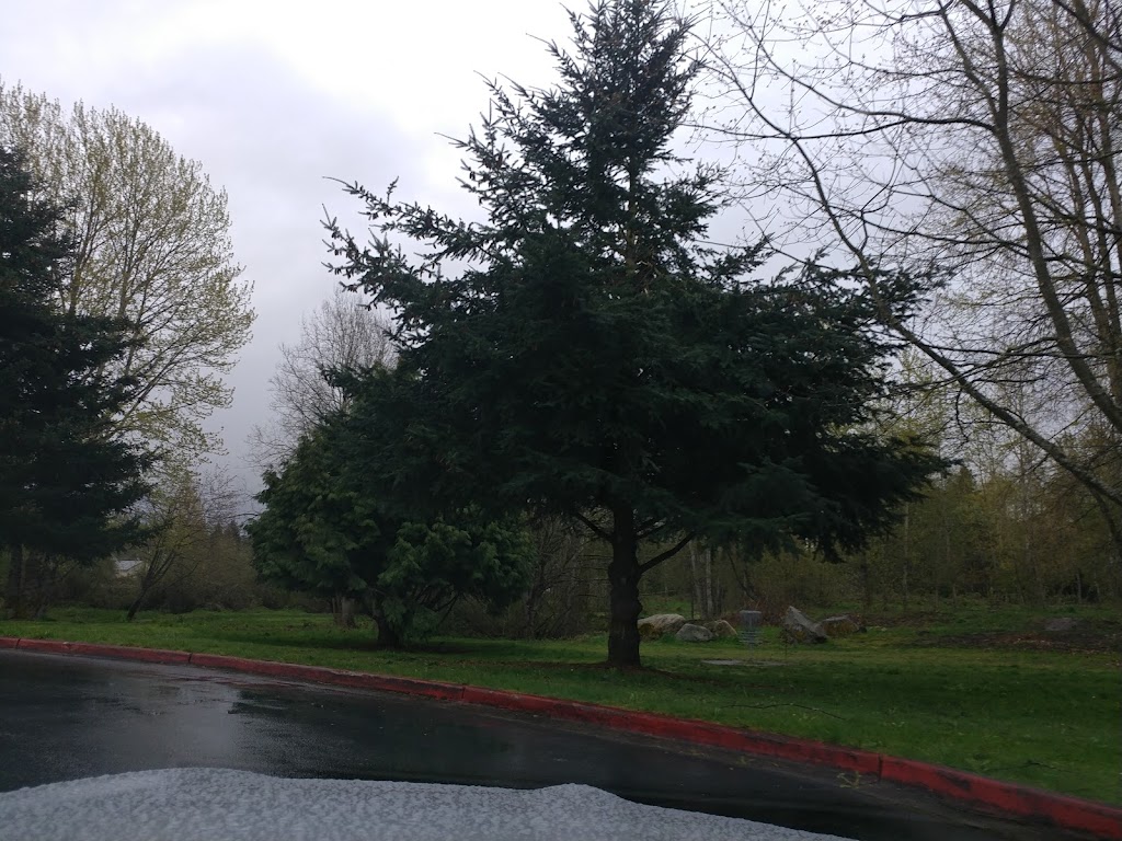 Seatac Disc Golf Course | 13001 20th Ave S, SeaTac, WA 98168, USA | Phone: (206) 673-6291