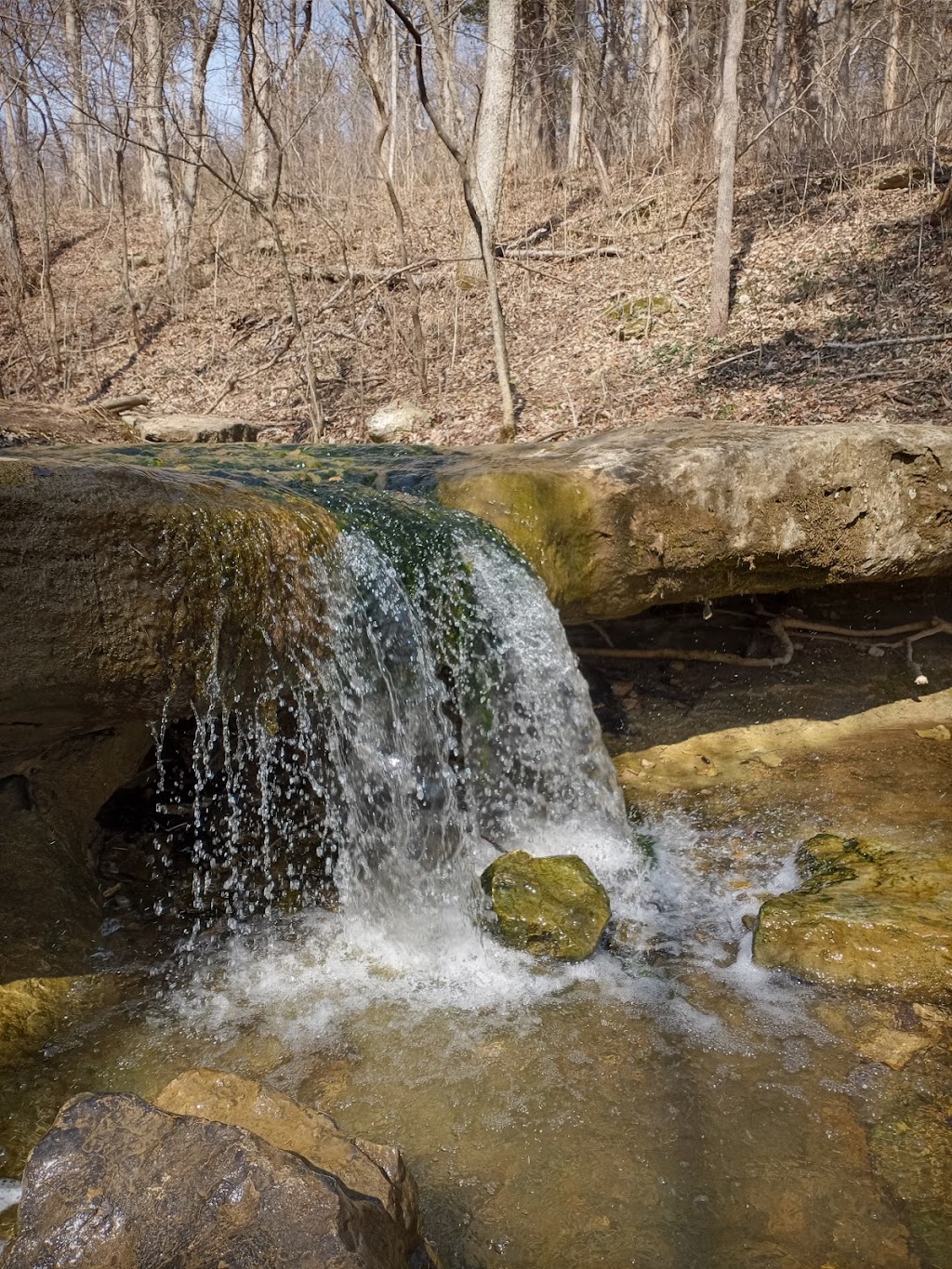 Myron and Sonya Glassberg Family Conservation Area | Eureka, MO 63025, USA | Phone: (636) 458-2236