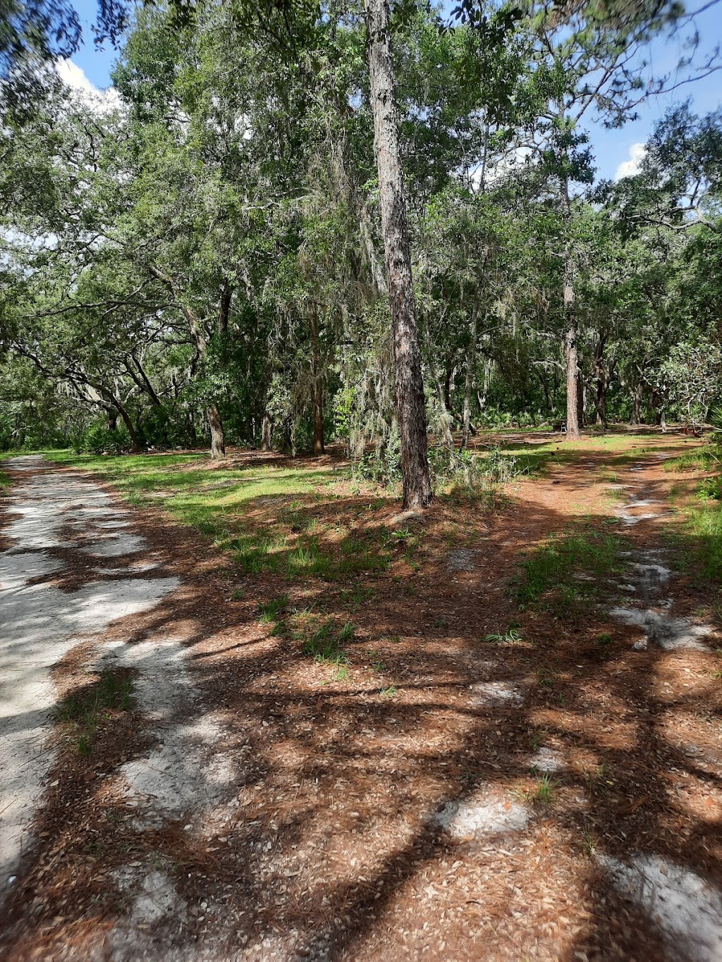 Serenova Tract | 14900 State Rd 52, Land O Lakes, FL 34638, USA | Phone: (352) 796-7211