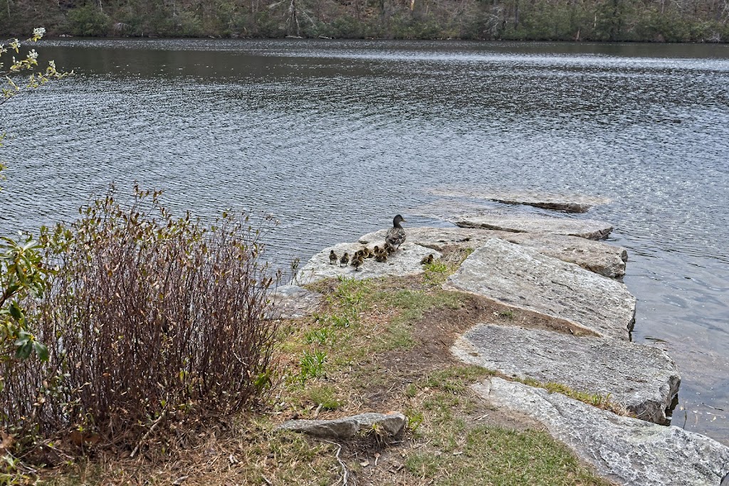 MDSA Beach | Lake Minnewska, Town of, Gardiner, NY 12525, USA | Phone: (845) 895-5012