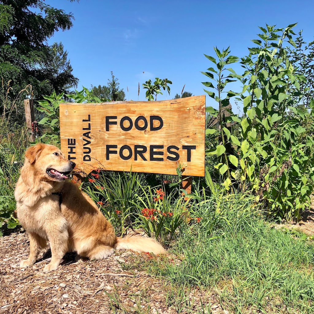 The Duvall Food Forest | 26524 NE Cherry Valley Rd, Duvall, WA 98019, USA | Phone: (949) 940-6409