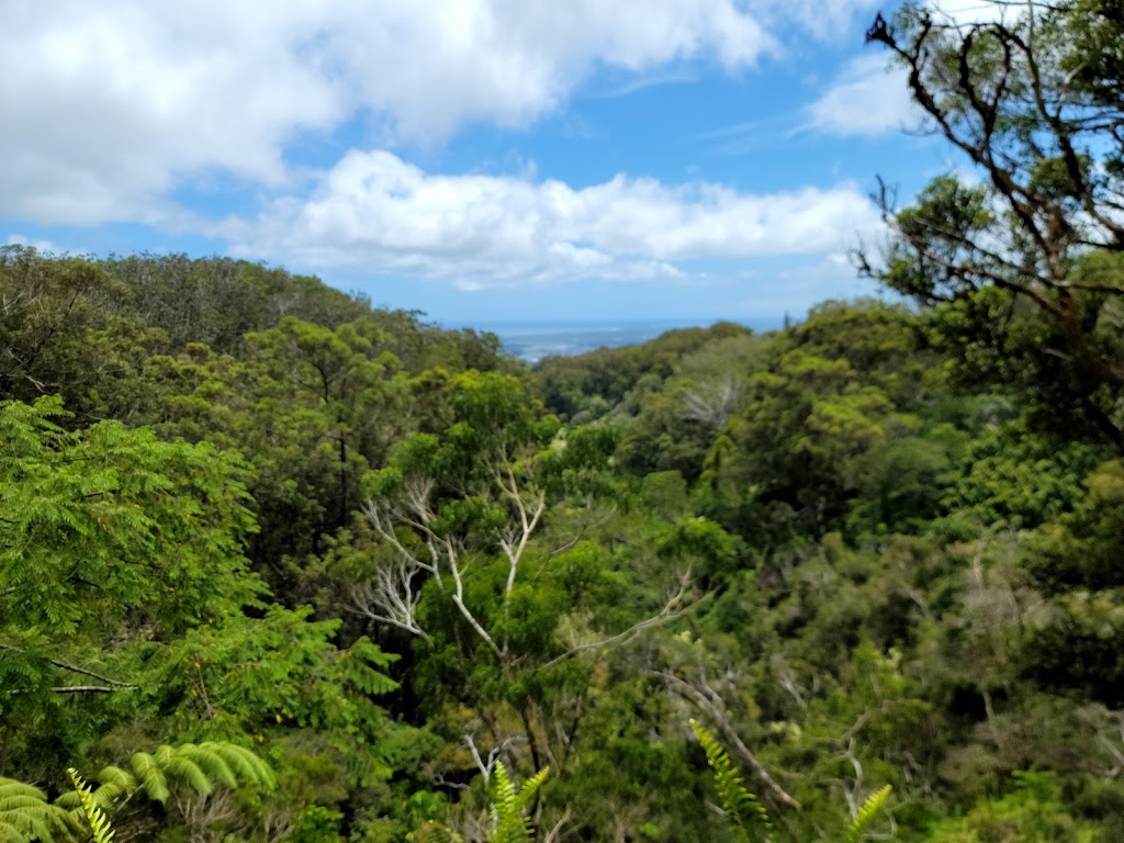 ʻAiea Loop Trailhead | 99-1849 Aiea Heights Dr, Aiea, HI 96701, USA | Phone: (808) 733-9104