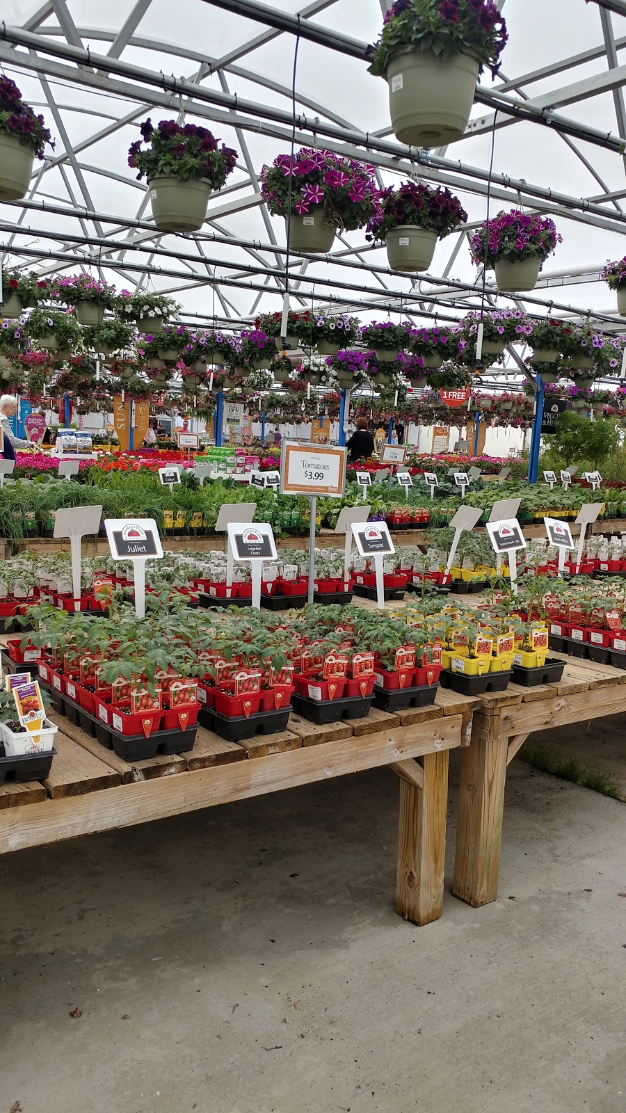 Petitti Garden Centers | 5509 South Ave, Youngstown, OH 44512, USA | Phone: (330) 788-0733
