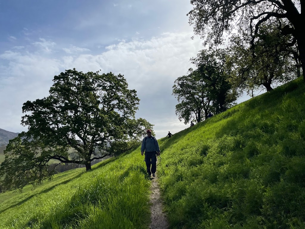 Las Trampas to Mt Diablo Regional Trail | 1099-1067 La Gonda Way, Danville, CA 94526, USA | Phone: (888) 327-2757