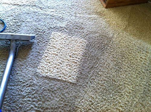 Americlean Carpet and Upholstery Cleaning | 14334 Fruitvale Rd, Valley Center, CA 92082, USA | Phone: (760) 749-6989