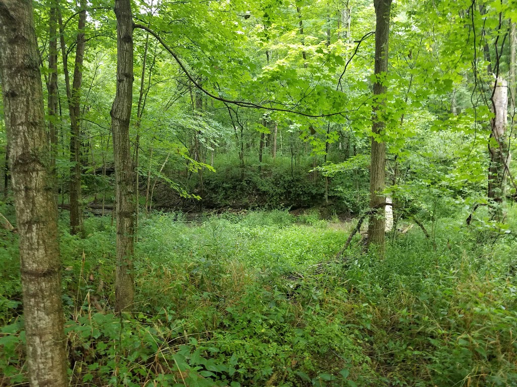 Hathaway Preserve At Ross Run - ACRES Land Trust | 1866 E Baumbauer Rd, Wabash, IN 46992, USA | Phone: (260) 637-2273