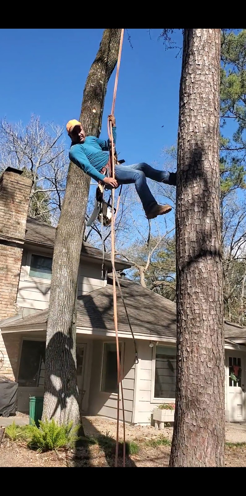 Jasmin tree service | 2789 County Rd 5018, Cleveland, TX 77327, USA | Phone: (832) 474-5191