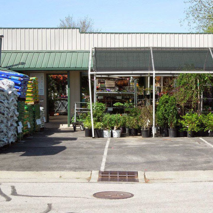 Wistinghausen Florist & Greenhouse | 114 Townline St, Oak Harbor, OH 43449, USA | Phone: (419) 898-4221
