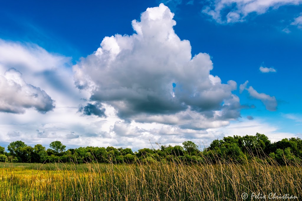 Cosumnes River Preserve | 13501 Franklin Blvd, Galt, CA 95632, USA | Phone: (916) 684-2816