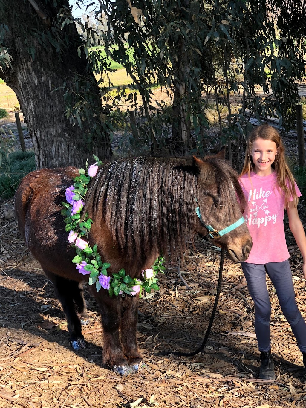 Circle T Ranch | 20010 Fargo Ave, Lemoore, CA 93245, USA | Phone: (559) 288-9537