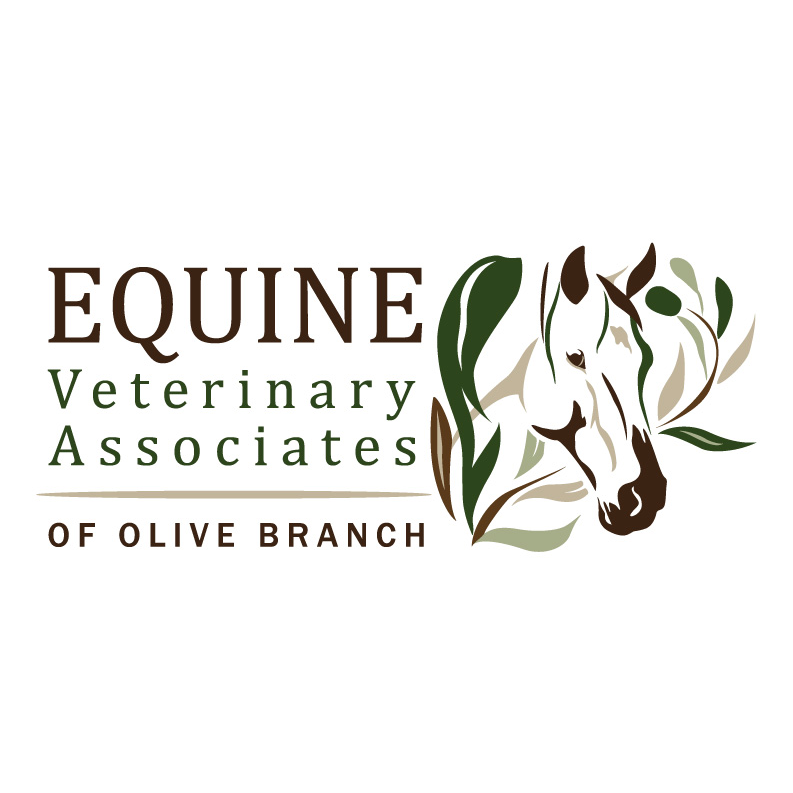 Equine Veterinary Associates of Olive Branch | 6740 Center Hill Rd, Olive Branch, MS 38654, USA | Phone: (662) 893-2546