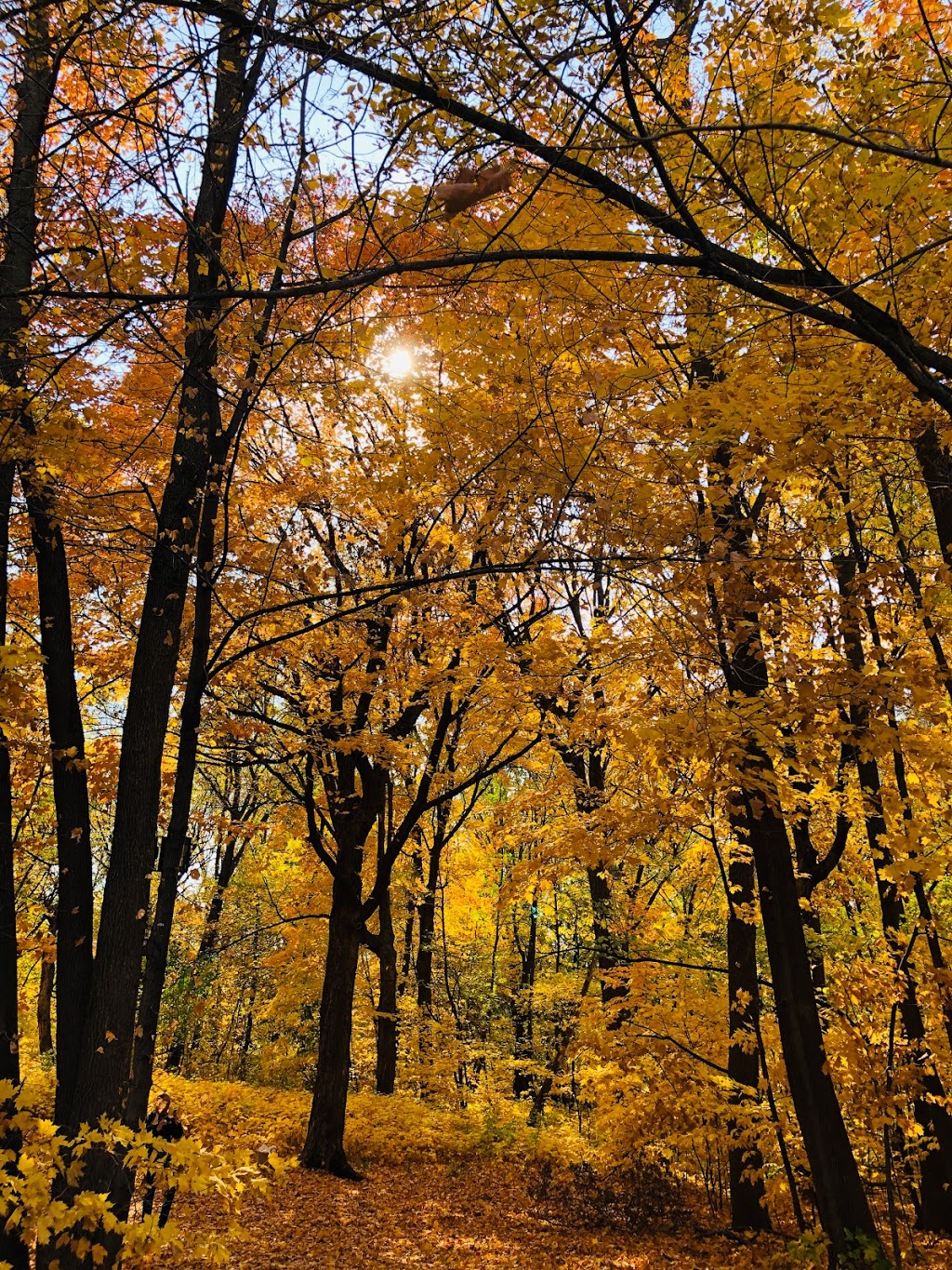 Clifton French Regional Park | 15720 Rockford Rd, Minneapolis, MN 55446, USA | Phone: (763) 694-7750