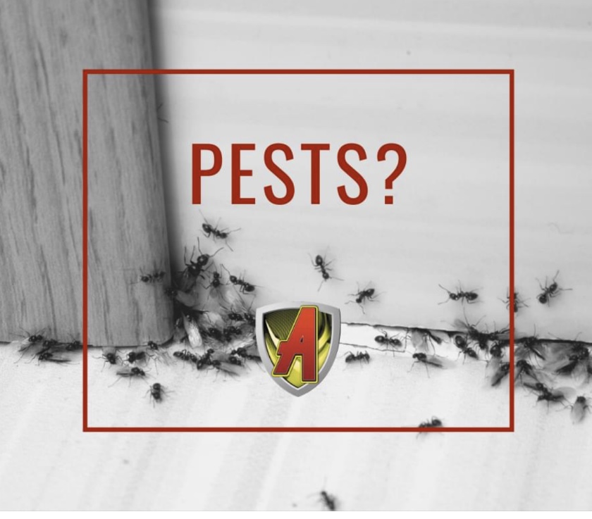 All-State Pest And Lawn | 1220 Vermeer Cove, Cordova, TN 38018, USA | Phone: (901) 757-9111