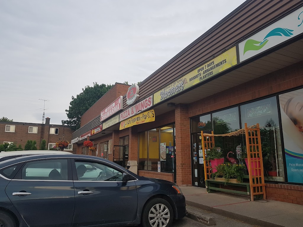 Hijabeez Shawarma & Falafel House | 6850 Thorold Stone Rd, Niagara Falls, ON L2J 1B4, Canada | Phone: (905) 357-2626