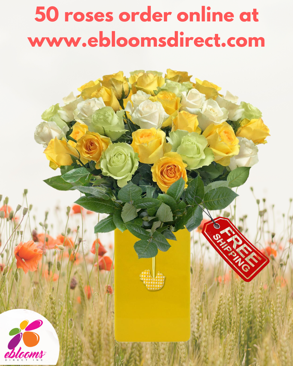 Eblooms Farm Direct Inc. | 20980 SW 234th St, Homestead, FL 33031, USA | Phone: (786) 749-4338