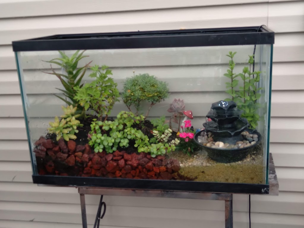 All things science | 1160 W State St, Alliance, OH 44601, USA | Phone: (330) 515-1998