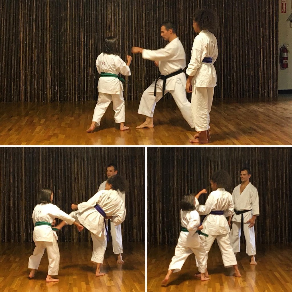 Jinsendo Martial Arts | 1600 Roswell St #1, Smyrna, GA 30080, USA | Phone: (678) 293-5509