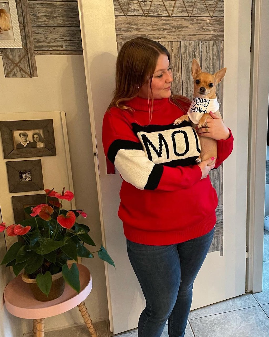 Jays Home Of Chihuahuas | 2104 Savannah Terrace SE, Washington, DC 20020, USA | Phone: (202) 978-8737