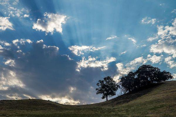 Laura Perkins Mindful Living | Peters Ranch Rd, Danville, CA 94526, USA | Phone: (415) 238-0558