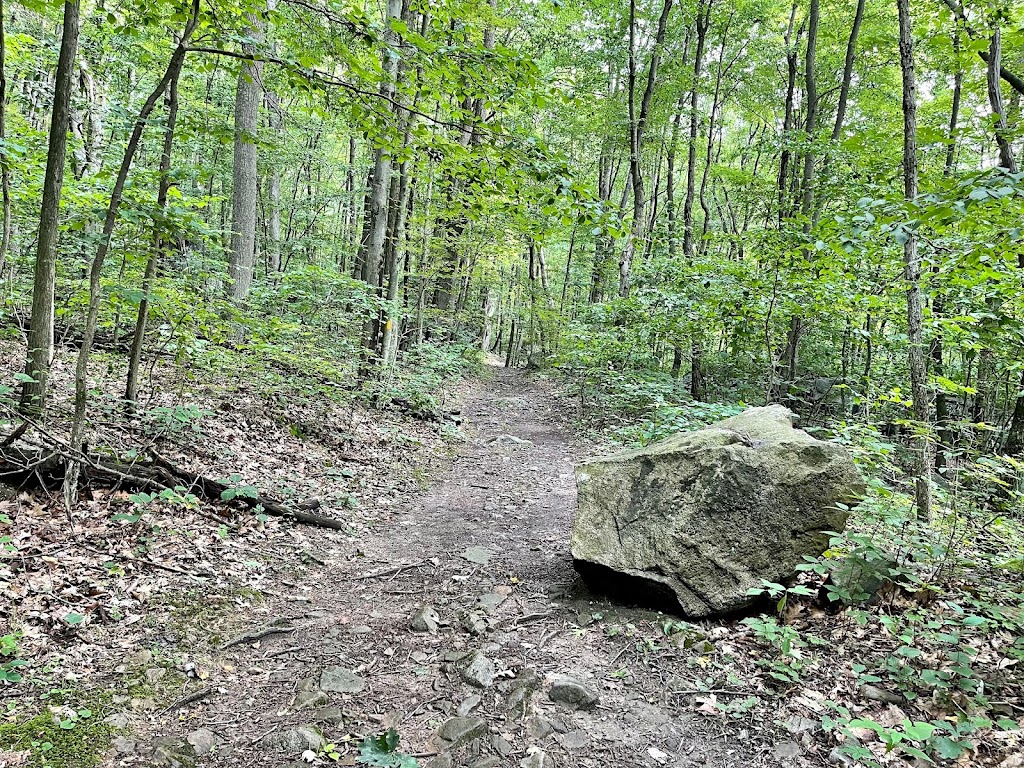 Start Of Laurel Highlands Trail | 122 Garrett St, Mill Run, PA 15464, USA | Phone: (724) 329-8591