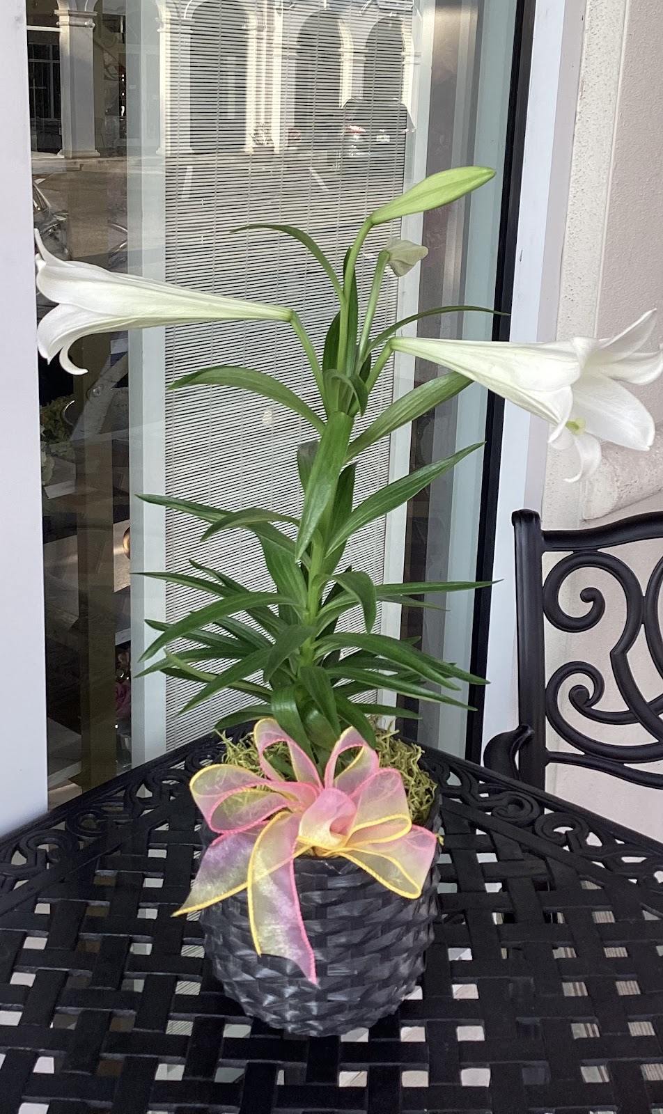 Flowers On Bay Street | 3983 Destination Dr #107, Osprey, FL 34229, USA | Phone: (941) 445-5698