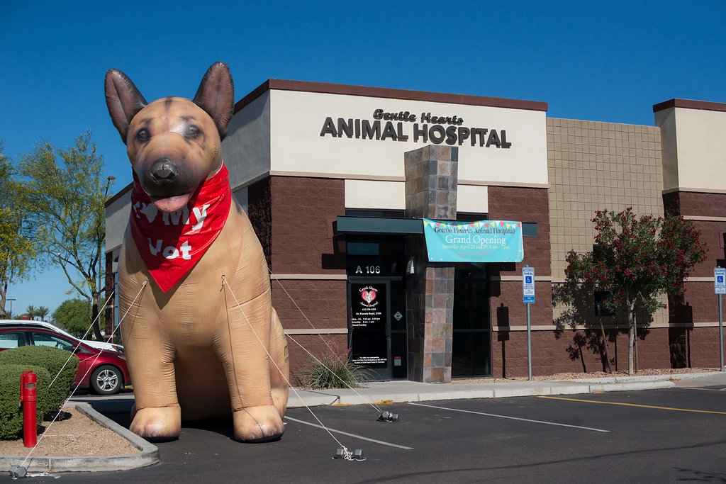 Gentle Hearts Animal Hospital | 14445 W McDowell Rd suite a-106, Goodyear, AZ 85395, USA | Phone: (623) 298-4200