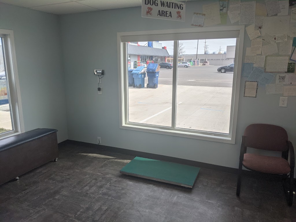 Pet Clinic of Brownsburg | 736 E Main St, Brownsburg, IN 46112, USA | Phone: (317) 858-9700