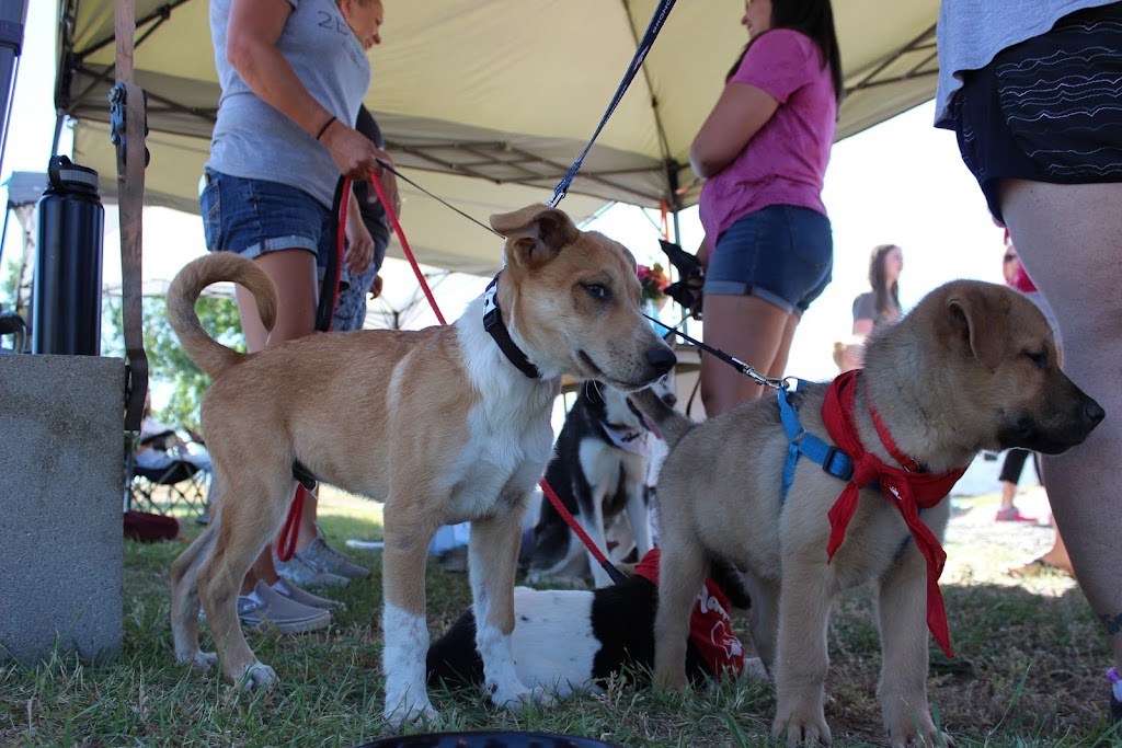 The Small Animal Clinic at Colorado Equine | 9616 W Titan Rd, Littleton, CO 80125, USA | Phone: (303) 791-0195