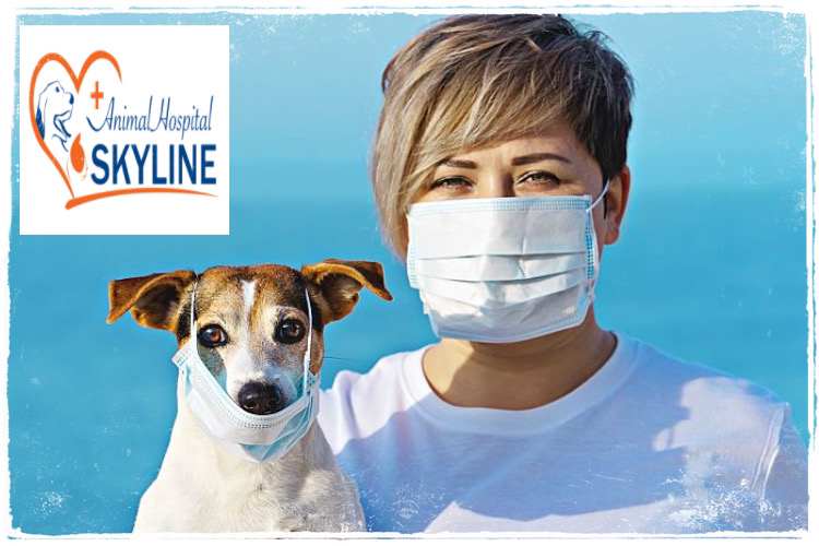 SKYLINE Animal Hospital | 7918 Land O Lakes Blvd #104, Land O Lakes, FL 34638, USA | Phone: (813) 605-7131