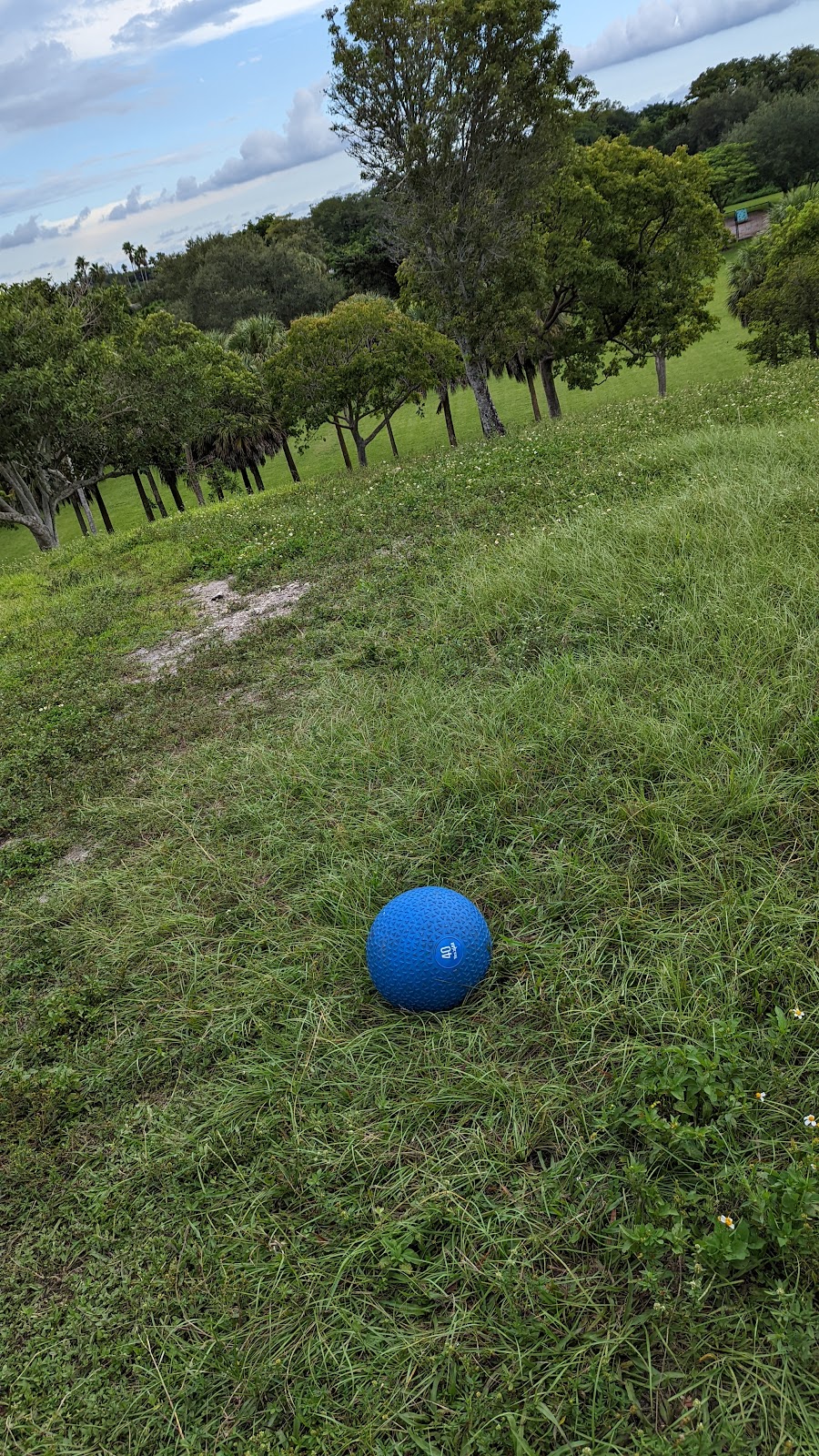 Three Mountains Natural Area | 9200 NW 1st St, Coral Springs, FL 33071, USA | Phone: (954) 345-2200