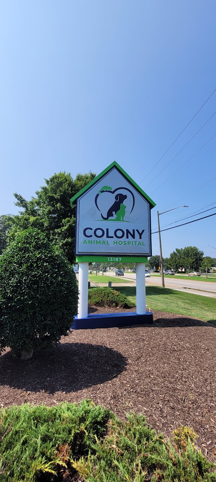 Colony Animal Hospital | 13187 Warwick Blvd, Newport News, VA 23602, USA | Phone: (757) 877-6464