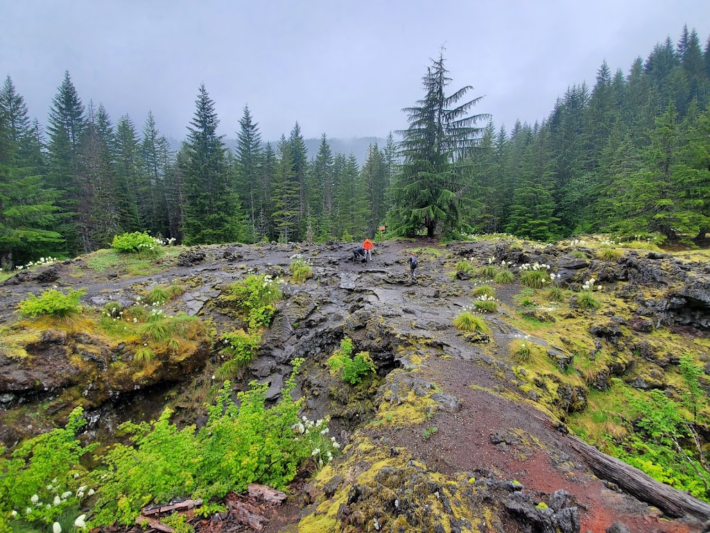 Ape Cave Interpretive Site | Cougar, WA 98616, USA | Phone: (360) 891-5000