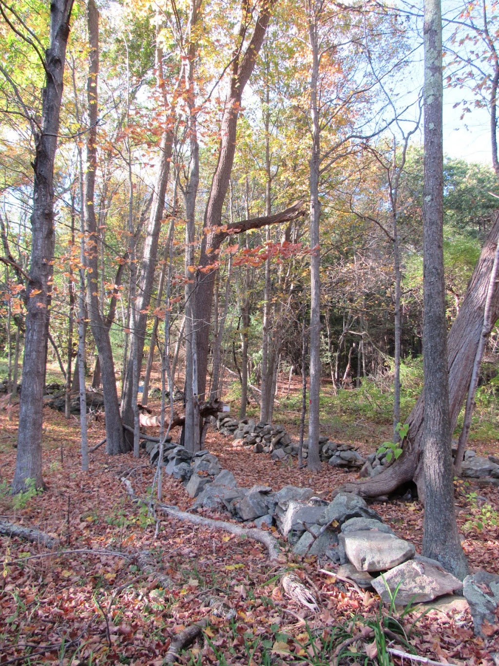 Smith Conservation Land | 199 Whitcomb Ave, Littleton, MA 01460, USA | Phone: (978) 443-5588