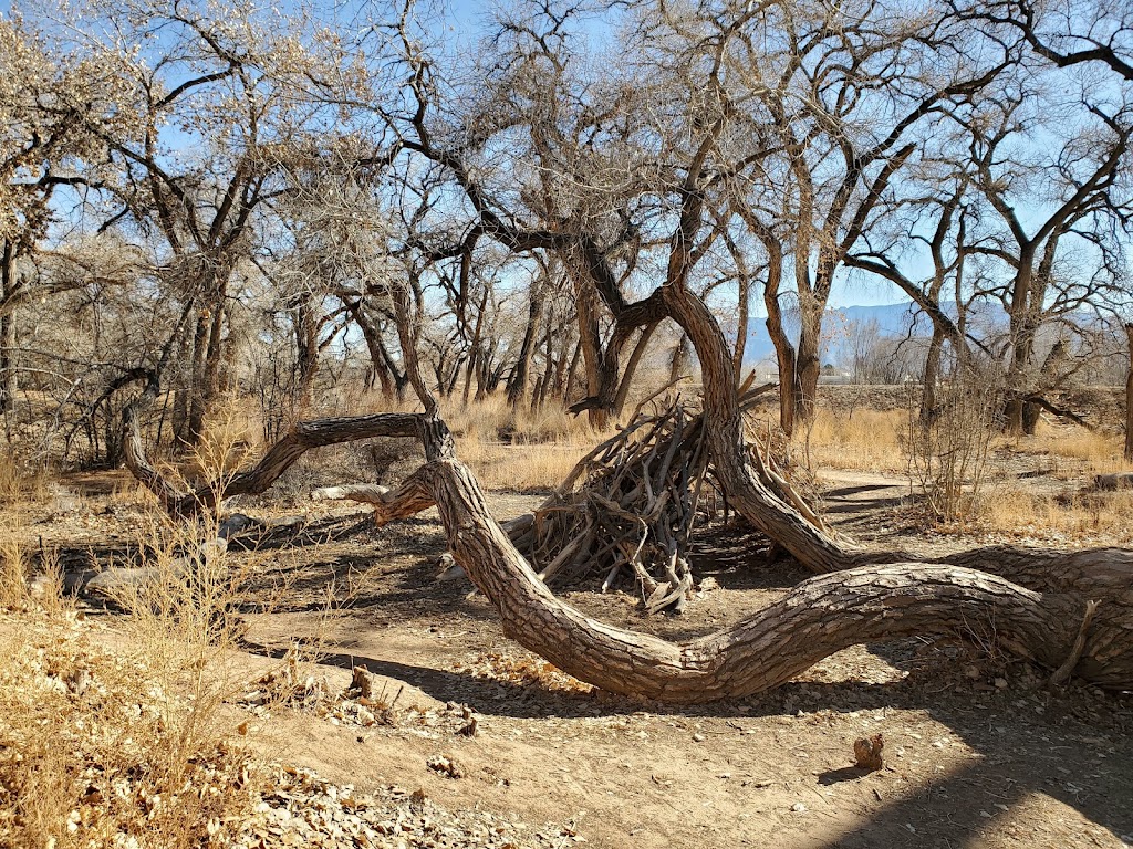 Alameda Open Space | Alameda Blvd NW, Rio Grande Blvd NW, Albuquerque, NM 87104, USA | Phone: (505) 468-7000