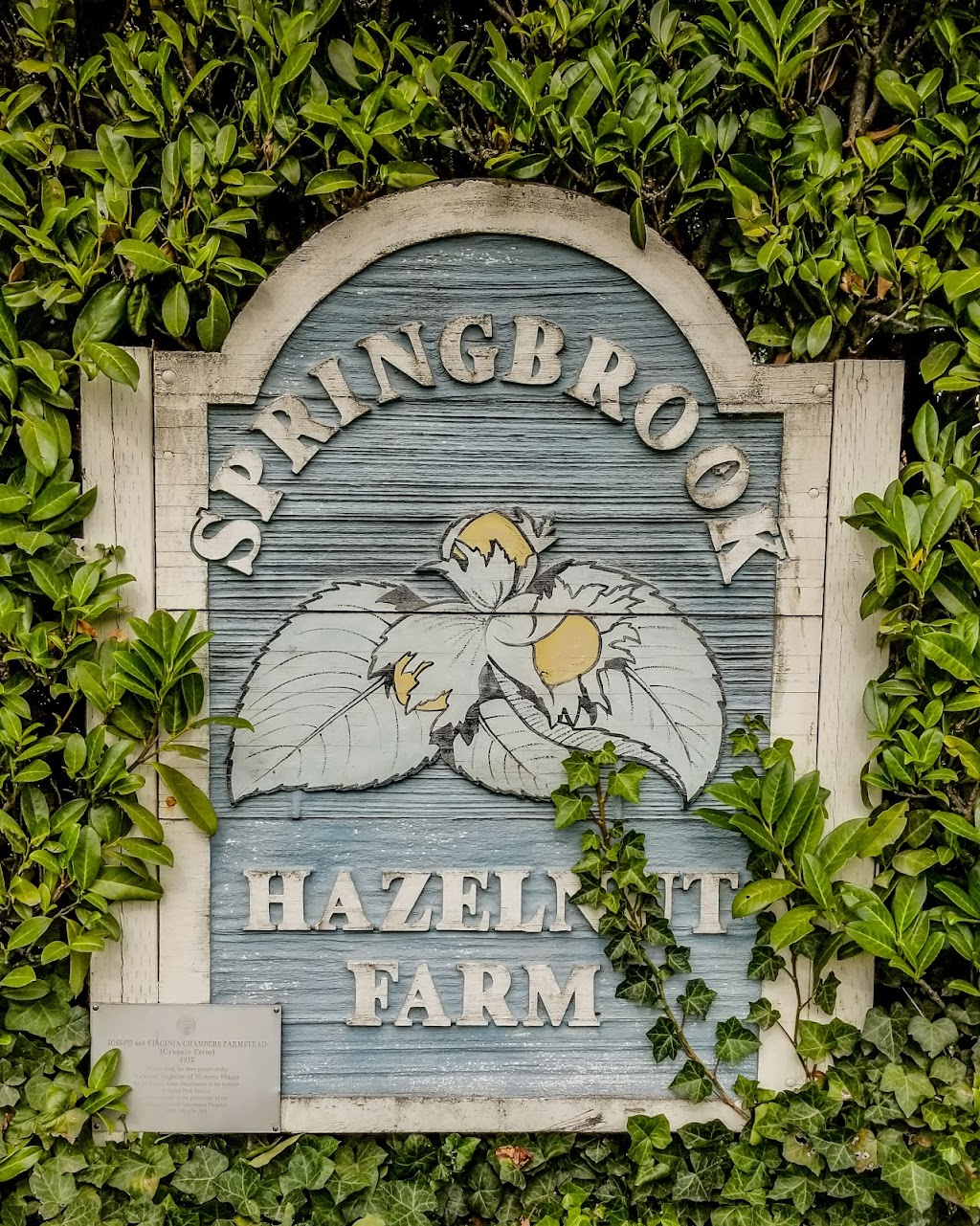 Springbrook Farm | 30295 OR-99W, Newberg, OR 97132, USA | Phone: (503) 538-4606
