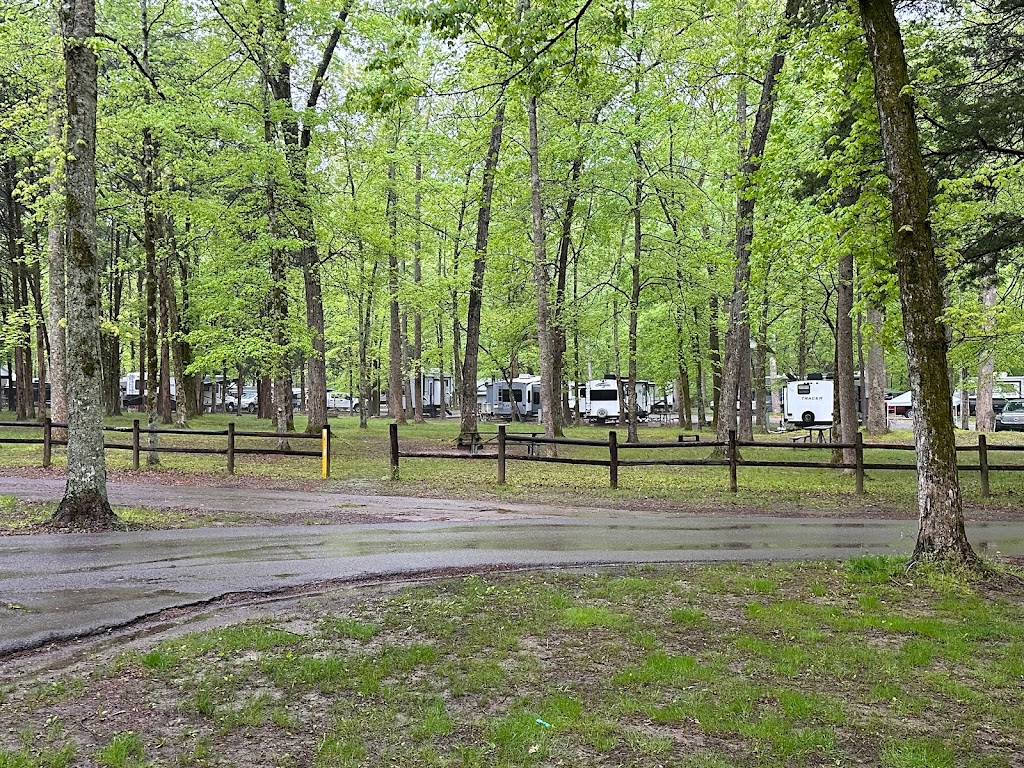 Montgomery Bell Campground | 1020 Jackson Hill Rd, Burns, TN 37029, USA | Phone: (615) 797-9052