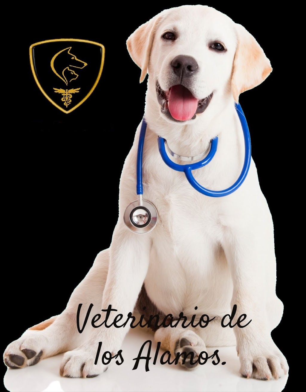 Veterinario de los Alamos TJ | Diamante 5, Los Alamos, 22110 Tijuana, B.C., Mexico | Phone: 664 694 0826