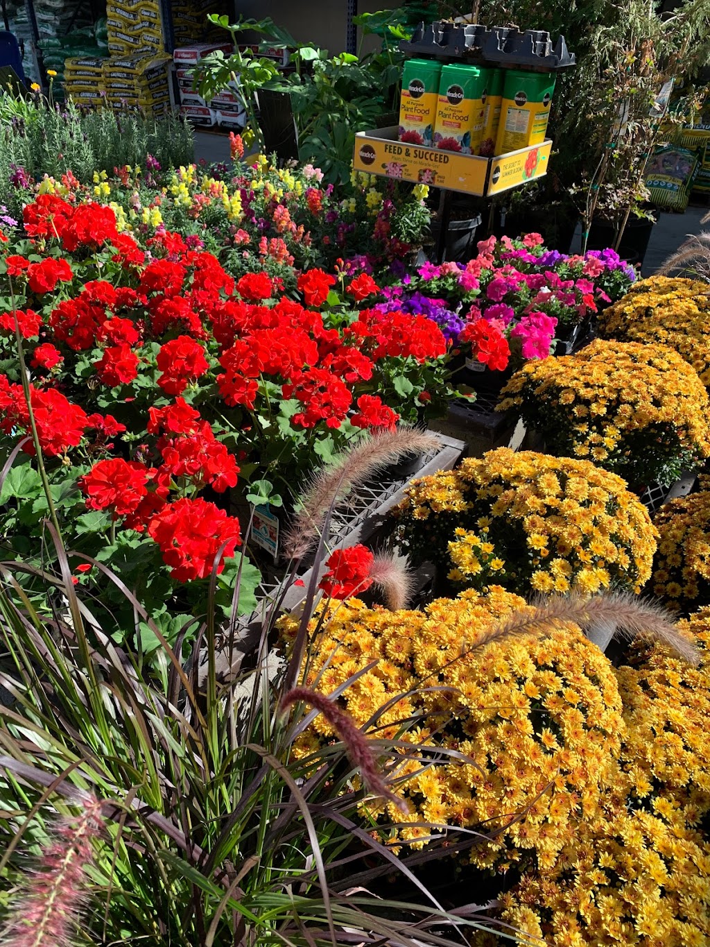 Lowes Garden Center | 13251 Peyton Dr, Chino Hills, CA 91709, USA | Phone: (909) 627-6039