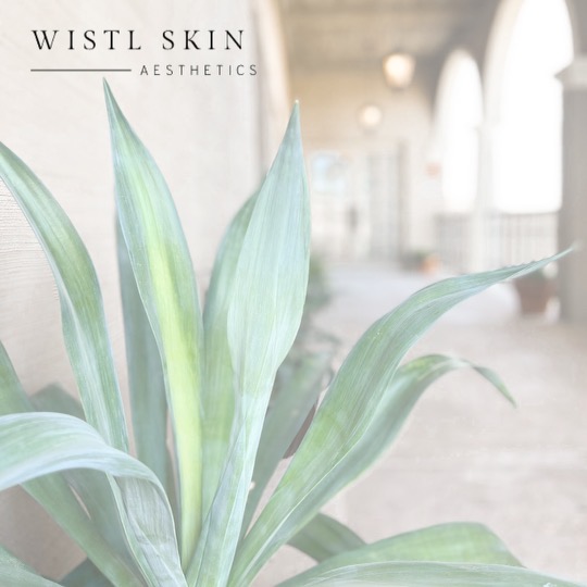 Wistl Skin Aesthetics | 11 E Sundial Cir Suite 8, Carefree, AZ 85377 | Phone: (602) 399-4379
